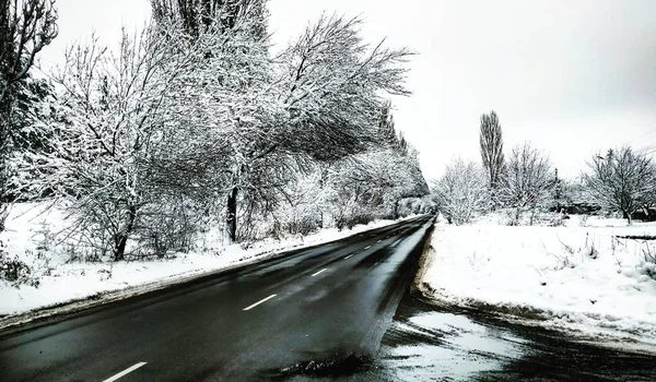 Eine Straße Entlang Eines Waldes — Stockfoto