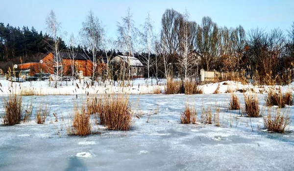 Blick Von Einem Zugefrorenen See Auf Ein Ufer — Stockfoto