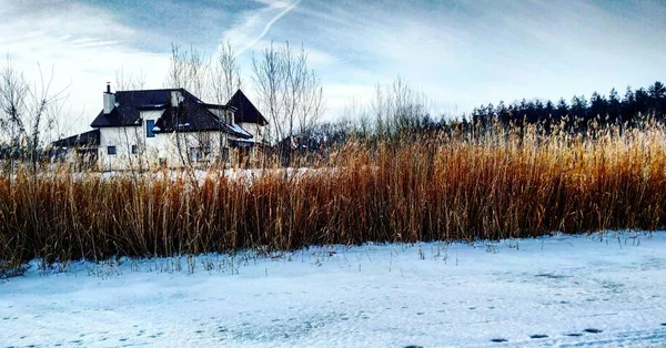 Vue Lac Gelé Rivage — Photo