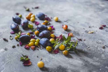 mavi ve Sarı Erik gri bir arka plan üzerinde dağınık