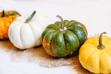 Beyaz ahşap bir arka planda çuval bezi üzerinde bir sıra renkli küçük balkabağı. Odak noktası sarı yeşil bir balkabağı.