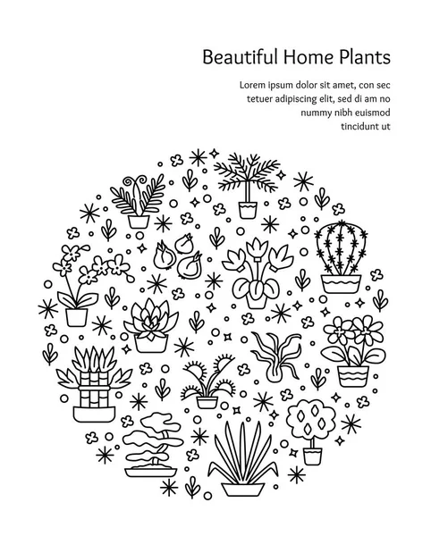 House plants concept for garden center, flower & florist shop. Vector round illustration from symbols & signs in line style. Can be used for banner, flyer, layout, poster, web advertisement. Black & white template with place for your text