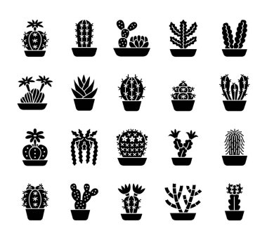 Kaktüsler farklı türlerde. Çöl bitkileri yaşayacağız ve kaya bahçeleri için kümesi. Ev ve ofis iç dekor öğeleri. Düz simgesi toplama. Beyaz arka plan üzerinde izole nesneleri.