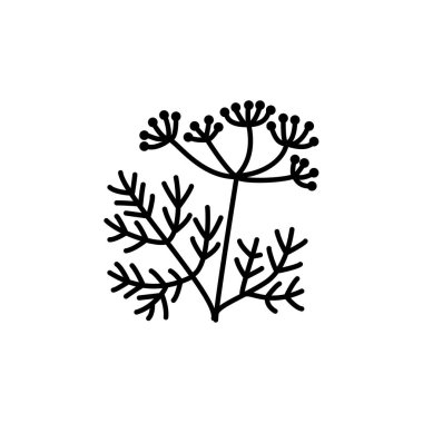Rezene tohumu ve yaprakları ile siyah ve beyaz vektör Illustration. Aromatik flavorful bitki satırı simgesi. Baharat ve baharat. Vejetaryen ve vegan gıda. Beyaz arka plan üzerinde izole nesne. 