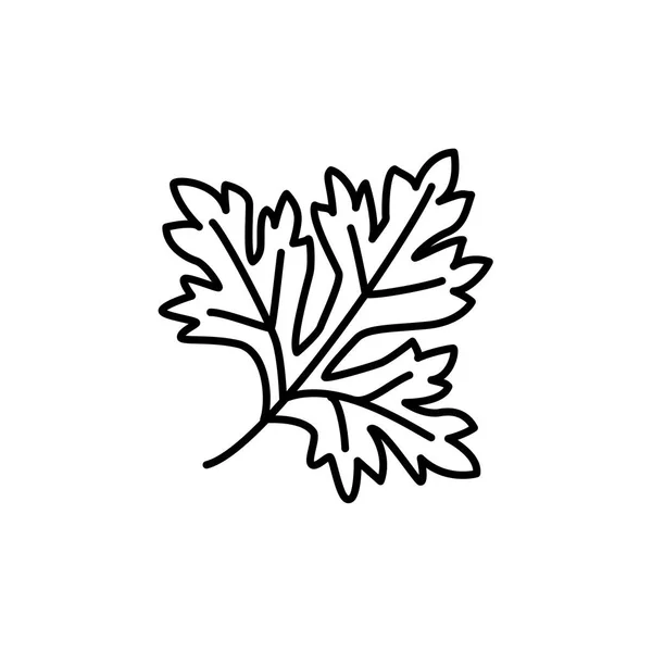 Schwarz Weiße Vektorillustration Des Petersilienblattes Linie Symbol Der Aromatischen Aromatischen — Stockvektor