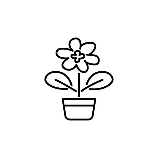 黑色和白色的向量例证开花的室内植物与叶子在锅里 容器内装饰开花的家庭植物线图标 白色背景上的独立对象 — 图库矢量图片