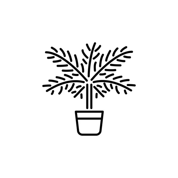 Черно Белая Векторная Иллюстрация Пальмы Листьями Горшке Линия Иконки Тропического — стоковый вектор