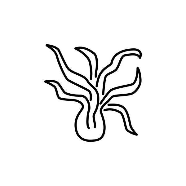 Hava Bitki Ampul Yaprakları Ile Siyah Beyaz Vektör Illustration Tillandsia — Stok Vektör
