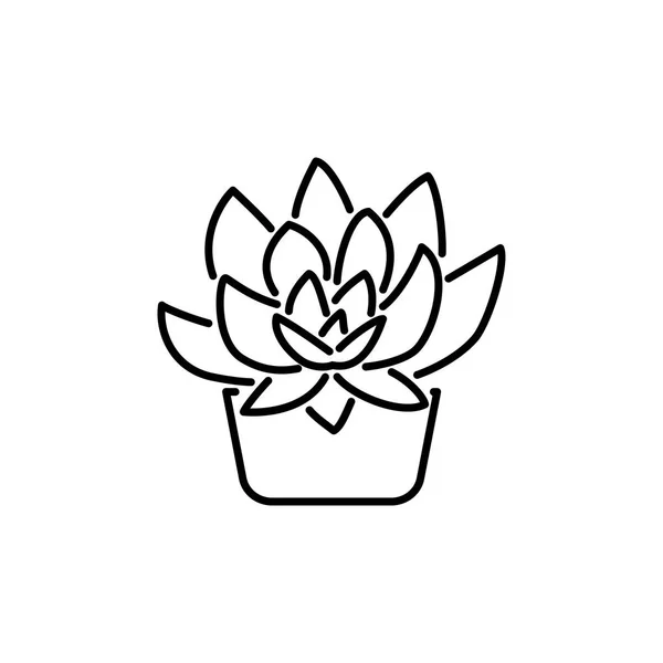 Ilustração Vetor Preto Branco Succulent Potenciômetro Planta Caseira Decorativa Recipientes — Vetor de Stock