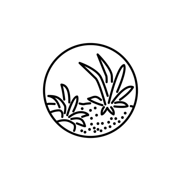 Ilustração Vetorial Preto Branco Terrário Redondo Com Plantas Pedras Plantas — Vetor de Stock