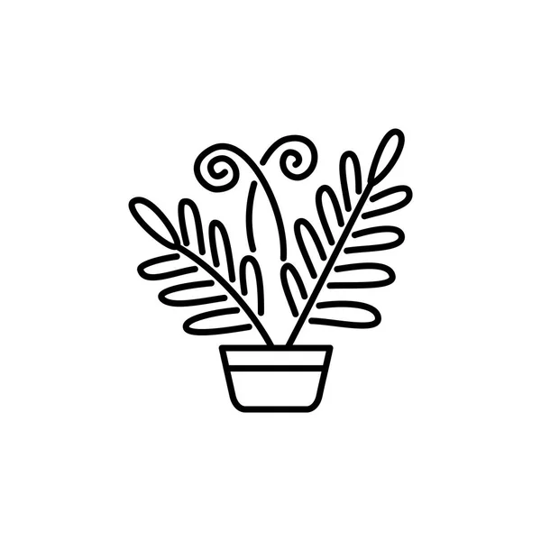黑色和白色的向量例子蕨类植物与叶子在锅 装饰家居用品在容器 温室和水族馆室内植物线图标 白色背景上的独立对象 — 图库矢量图片