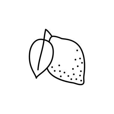 Siyah ve beyaz vektör Illustration limon meyve. Satırı simgesi yaprak taze limon. Vejetaryen ve vegan gıda. Sağlık beslenme madde. Beyaz arka plan üzerinde izole nesne. Önden görünüm.