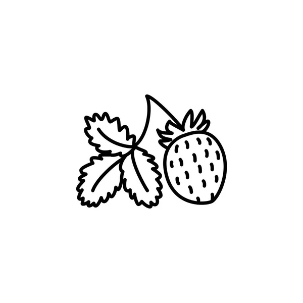 Ilustración Vectorial Blanco Negro Fresa Orgánica Con Hoja Icono Línea — Vector de stock