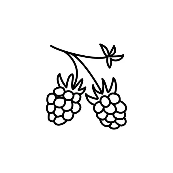 Schwarzweiß Vektorillustration Der Bio Himbeere Liniensymbol Von Frischen Beeren Mit — Stockvektor