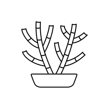 Hatiora kaktüs pota vektör Illustration. Çöl tesisleri terrarium ve rock Bahçe için. Etli satırı simgesi. Beyaz arka plan üzerinde izole nesne. 