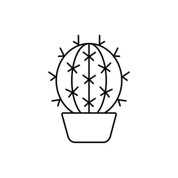 Ilustracja Wektorowa Barrel Cactus Puli Pustynia Roślina Terrarium Ogród Skalny — Wektor stockowy