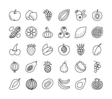 Vektör hat Icon set. Meyve, meyve ve fındık. Sağlıklı vejetaryen yemek. Elma, vişne, portakal, limon, ceviz, fındık, avokado, ananas, çilek, ahududu, yaban mersini. Beyaz arka plan üzerinde izole.