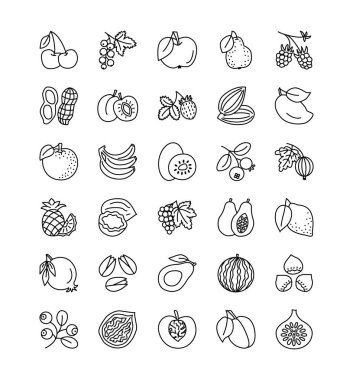 Vektör hat Icon set. Meyve, meyve ve fındık. Sağlıklı vejetaryen yemek. Elma, vişne, portakal, limon, ceviz, fındık, avokado, ananas, çilek, ahududu, yaban mersini. Beyaz arka plan üzerinde izole.