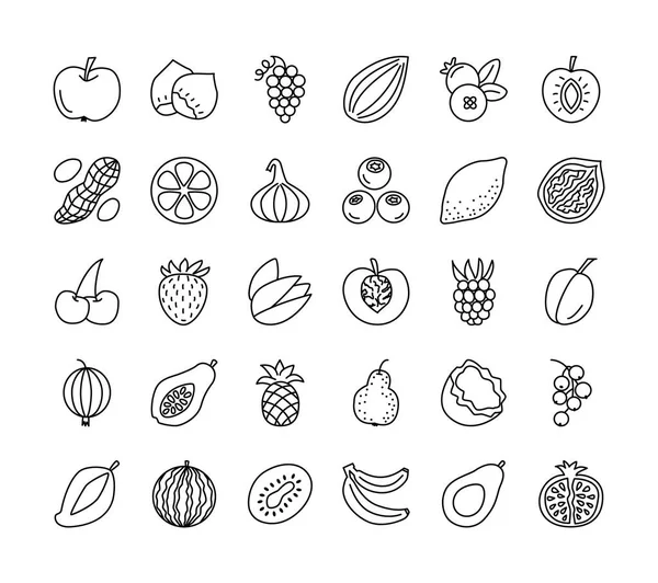 Vektör hat Icon set. Meyve, meyve ve fındık. Sağlıklı vejetaryen yemek. Elma, vişne, portakal, limon, ceviz, fındık, avokado, ananas, çilek, ahududu, yaban mersini. Beyaz arka plan üzerinde izole.