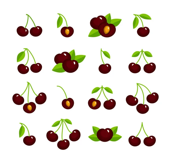Barevné Vektorové Ilustrace Black Cherry Pramení Listy Sada Plochých Ikon — Stockový vektor