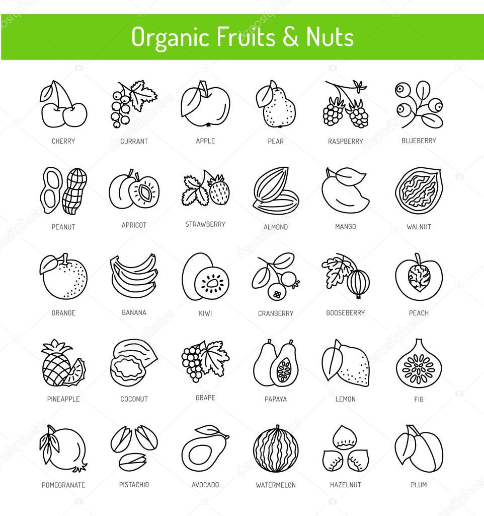 Fruits, berries & nuts. Vegan & vegetarian food. Healthy eating & loss weight diet ingredients. Vector line icon collection. Isolated objects on white background. 