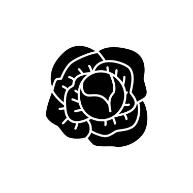 Bütün lahana sebze siyah ve beyaz vektör Illustration. Taze organik başlı lahana düz simgesi. Vejetaryen ve vegan gıda. Sağlık beslenme madde. Beyaz arka plan üzerinde izole nesne. 