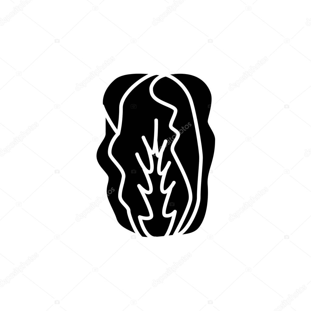 Black & white vector illustration of chinese cabbage. Leaf vegetable. Flat icon of fresh organic napa cabbage. Vegan & vegetarian food. Isolated object on white background. Bok choy.