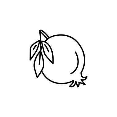 Organik nar yaprakları ile siyah ve beyaz vektör Illustration. Taze meyve satırı simgesi. Vejetaryen ve vegan gıda. Sağlık beslenme madde. Beyaz arka plan üzerinde izole nesne. 