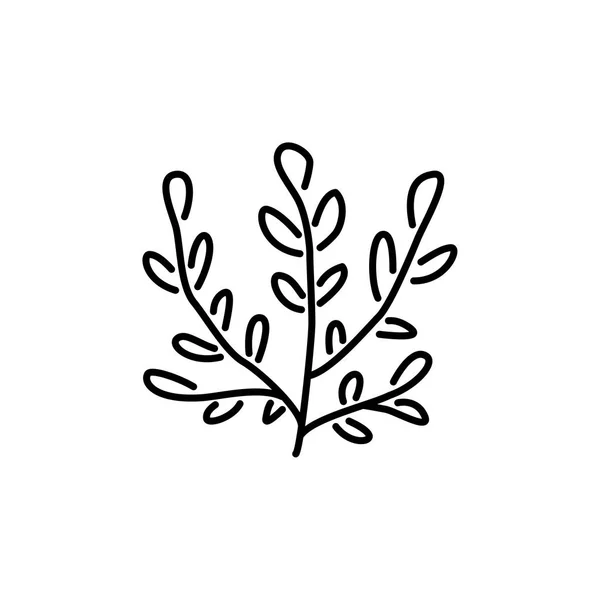 有叶子的观赏性草本植物的黑白向量例证 装饰户外绿色树叶植物的线条图标 园艺和园林绿化 白色背景上的独立对象 — 图库矢量图片