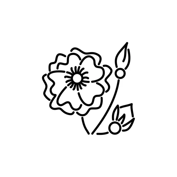 Ilustración vectorial en blanco y negro de la flor rosa cubierta del suelo. L — Vector de stock