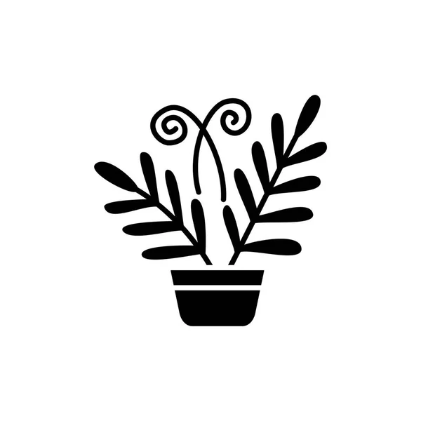 黑色和白色的向量例子蕨类植物与叶子在锅 装饰家居用品在容器 温室和水族馆室内植物的扁平图标 白色背景上的独立对象 — 图库矢量图片