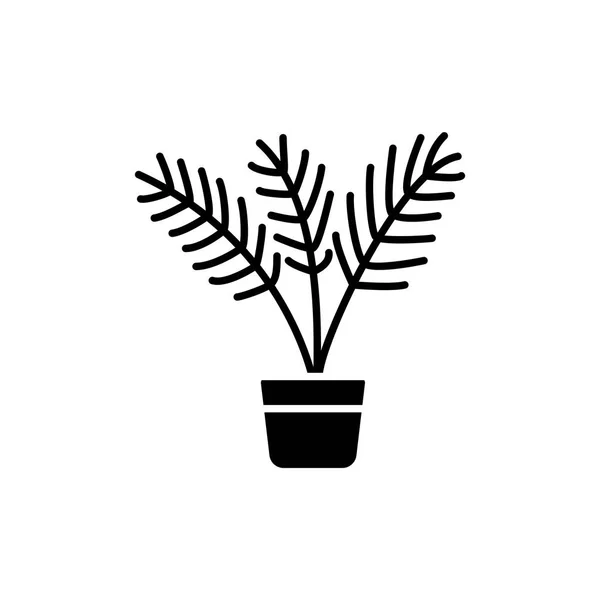 棕榈树的黑白向量例证与叶子在锅 在容器中的热带异国情调的家庭植物的平面图标 长青盆栽植物 白色背景上的独立对象 — 图库矢量图片