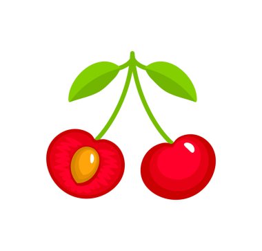 İki kırmızı Olgun Kiraz ile vektör çizim kök ve yaprakları.