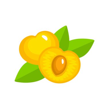 Tohum ve bırakmak ile iki beyaz olgun kiraz vektör Illustration