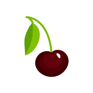 Vector illustration of black ripe cherry with stem & leaves. Fla