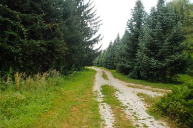 Moldova Bilimler Akademisi Botanik Bahçesi