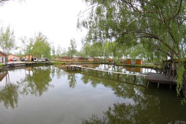 Vilkovo su üzerinde şehir Sokağı. Odessa bölgesi. Ukrayna. Tuna Nehri Delta.