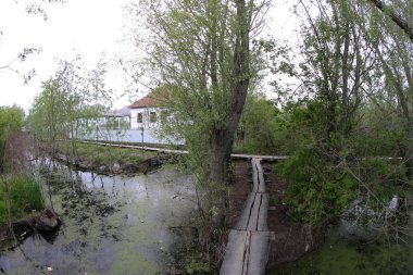 Vilkovo su üzerinde şehir Sokağı. Odessa bölgesi. Ukrayna. Tuna Nehri Delta.