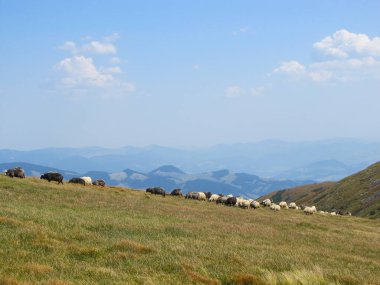 Gemi ve beyaz bulutlar ile mavi gökyüzü ile Karpat Dağları