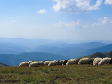 Gemi ve beyaz bulutlar ile mavi gökyüzü ile Karpat Dağları