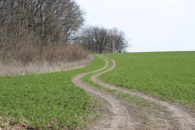Bahar alan güzel yolda