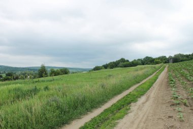 Eski yel değirmeni, Ukraynalı yatay. Yol, alan ve değirmen 
