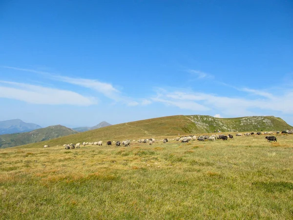 Карпатські Гори Багатьма Кораблями України — стокове фото