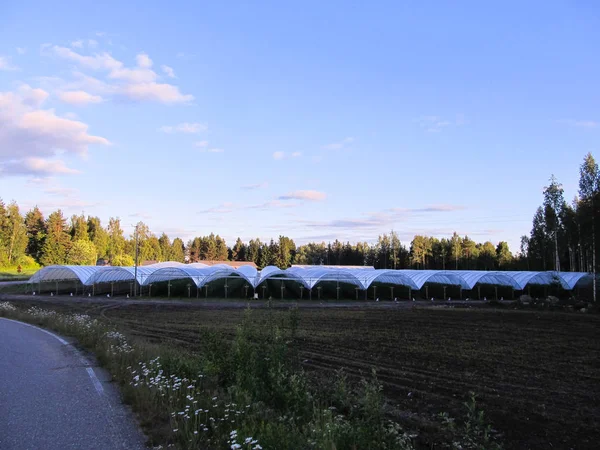 Greenhouse Lahti Finland — Stock Photo, Image