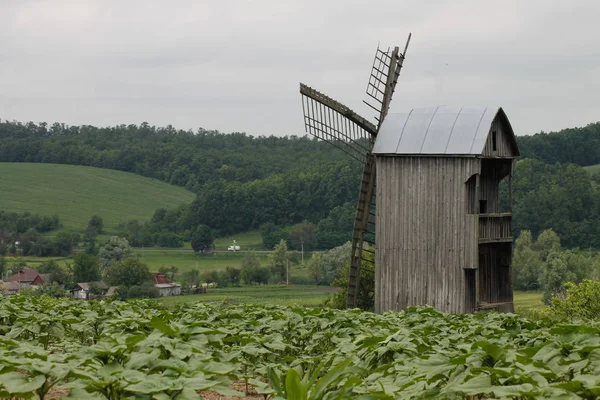 Traditional ukrainian wooden mill in the village. Wooden windmill in ukrainian village. Windmill on hill near Smila