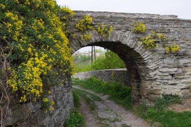 Güzel sarı çiçeklerile Ortaçağ taş kemer