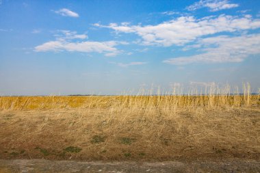 Orta Ukrayna 'daki Dnipro nehir kıyısı manzarası