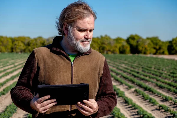A farmer with a tablet supervises his crops