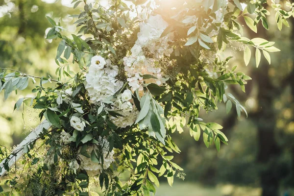 屋外の結婚式の装飾のための美しい花のクローズ アップ写真 — ストック写真