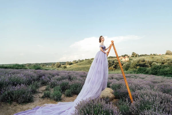 Bela Jovem Mulher Vestido Roxo Longo Escada Madeira Campo Lavanda — Fotografia de Stock